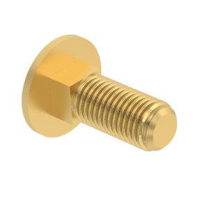 Round Head Square Neck Bolt, M10 X 30
