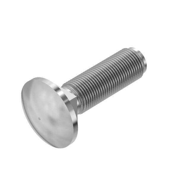 Round Head Square Neck Bolt, M10 X 40
