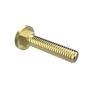 Round Head Square Neck Bolt, M6 X 25