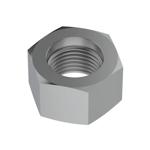Hexagonal Nut, M10