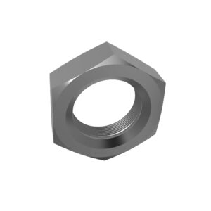 Hexagonal Nut, M20