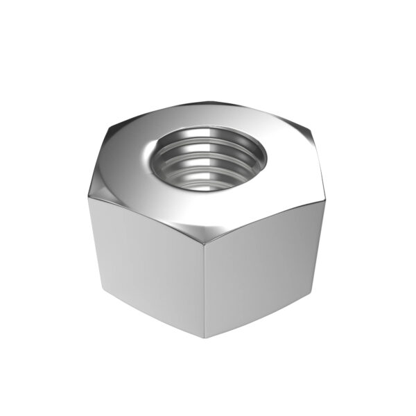 Hexagonal Lock Nut, M10