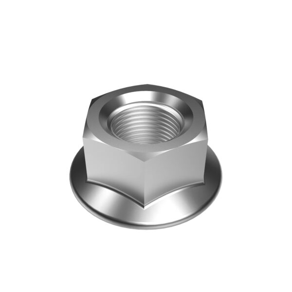 Hexagonal Flange Nut, M20
