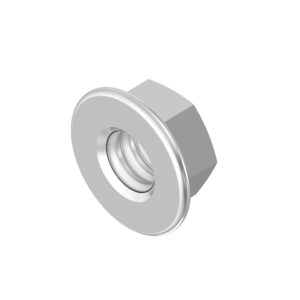 Hexagonal Flange Nut, M5
