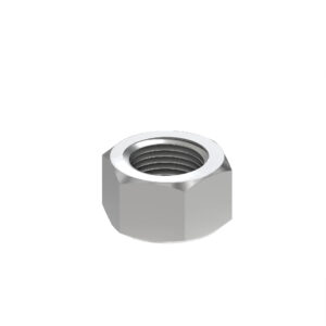 Hexagonal Lock Nut, M10