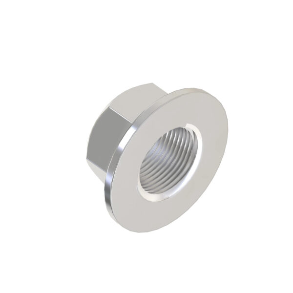 Hexagonal Flange Nut, M12