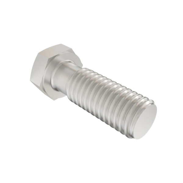 Hexagonal Head Screw, 5/16" X 1"
