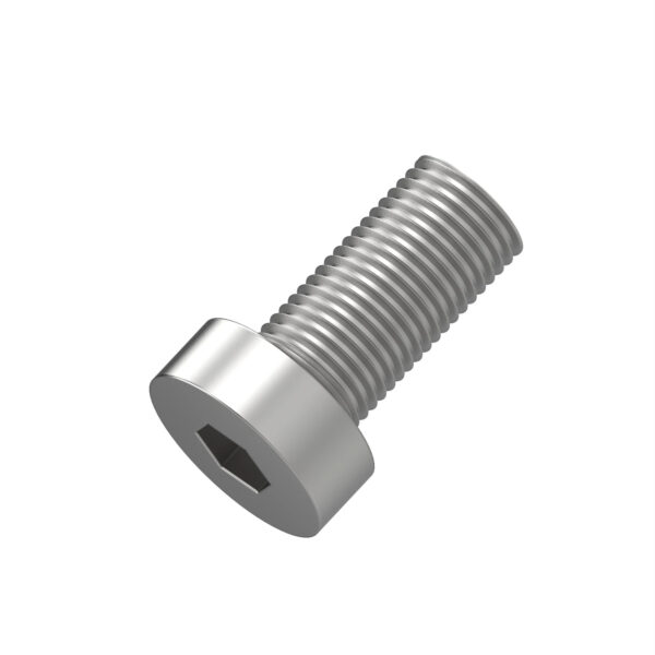 Hexagonal Socket Head Screw, M10 X 16