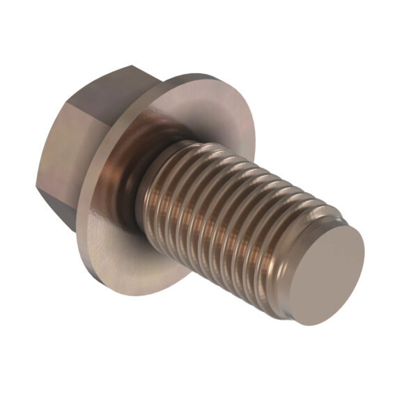 Hexagonal Head Flanged Screw, M16 X 40