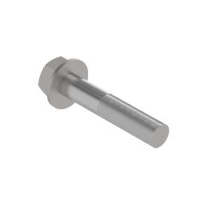 Hexagonal Head Flanged Screw, M20 X 100