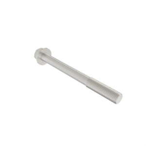 Hexagonal Head Flanged Screw, M10 X 110