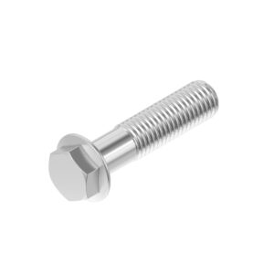 Hexagonal Head Flanged Screw, M20 X 70