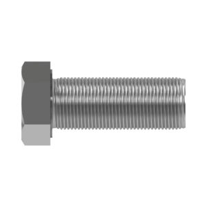 Hexagonal Head Screw, M20 X 55