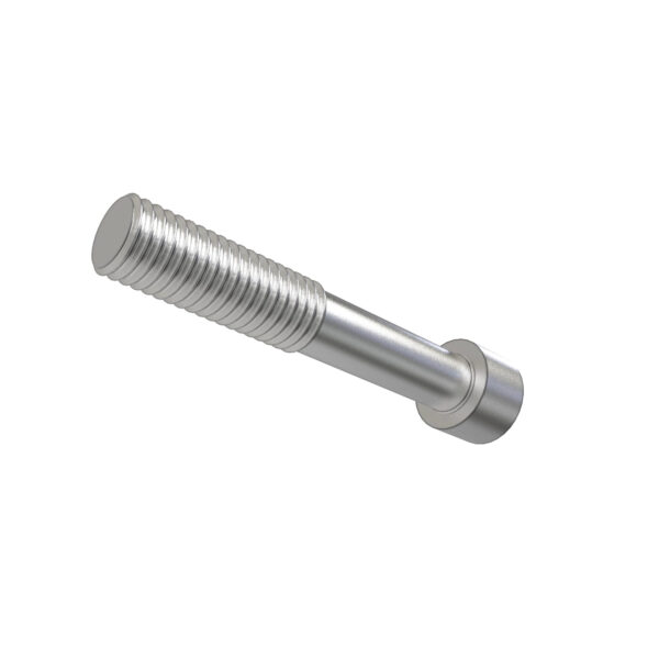 Cylindrical Head Screw, M10 X 65