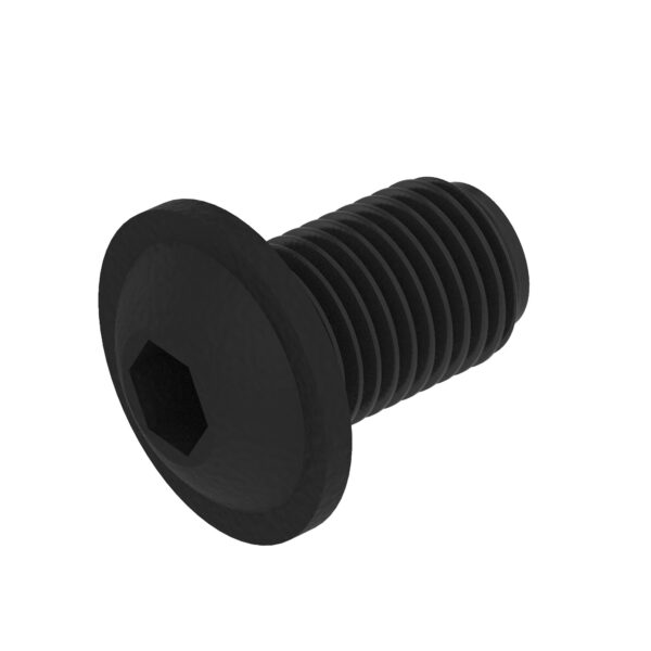 Hexagonal Socket Head Flange Screw, M5 X 10
