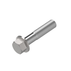 Hexagonal Head Flanged Screw, M10 X 50