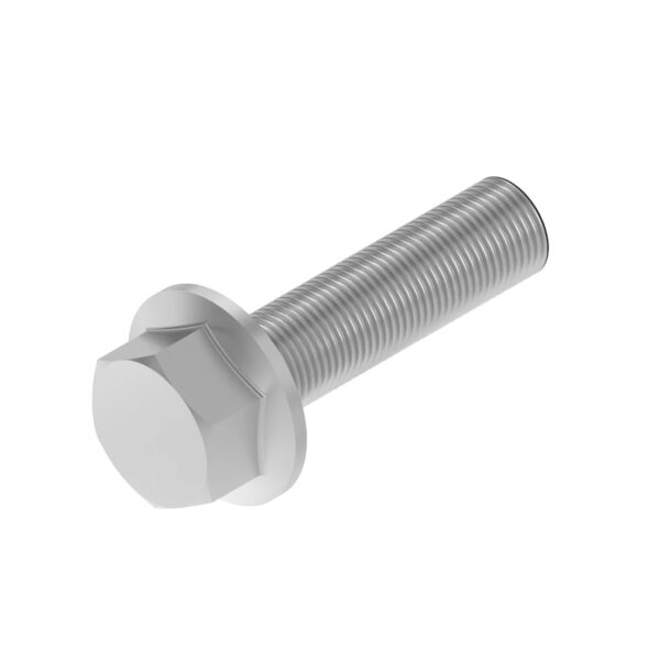 Hexagonal Head Flanged Screw, M20 X 65