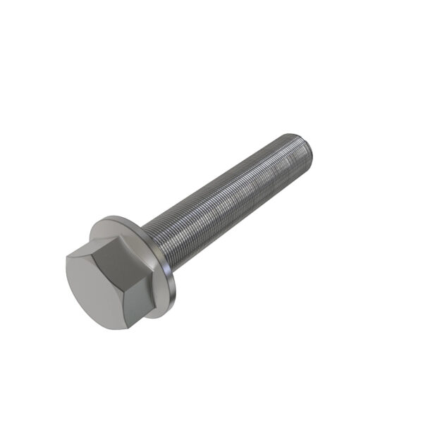 Hexagonal Head Flanged Screw, M6 X 50