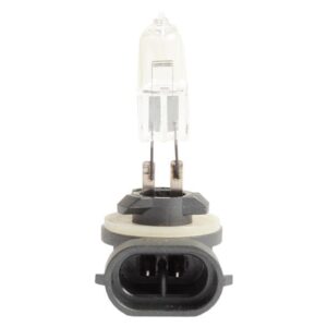 Bulb