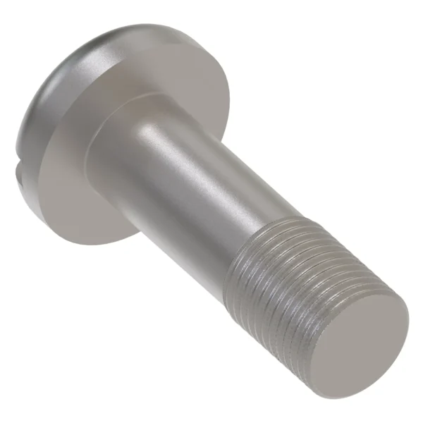 Cylindrical Head Screw, 5/16" X 1"