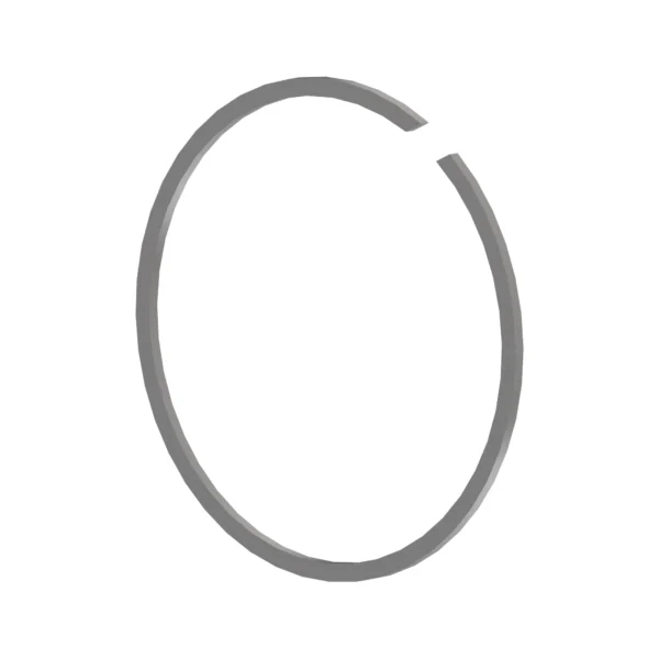 Snap Ring