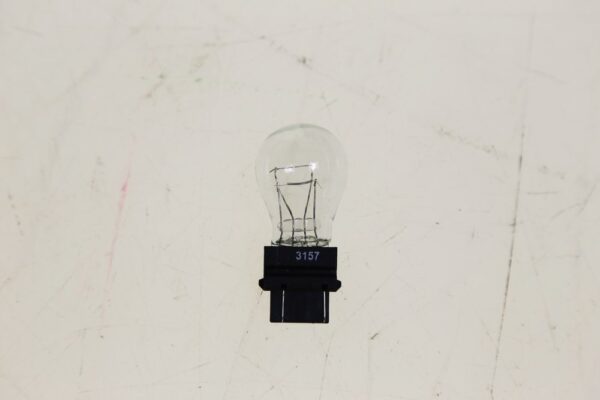 Bulb