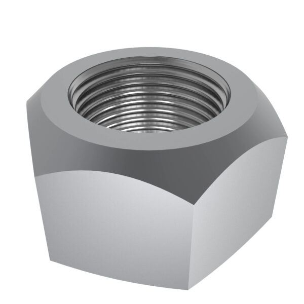 Hexagonal Lock Nut, M20