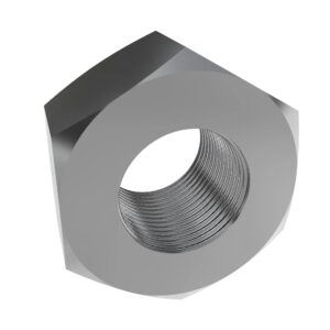 Hexagonal Lock Nut, M10