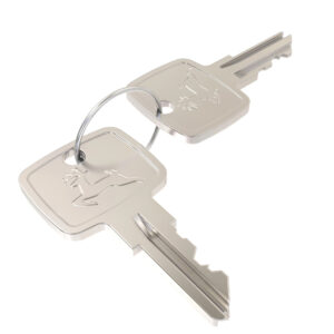 Ignition Key (Set of 2)