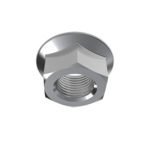 Hexagonal Flange Lock Nut, M12