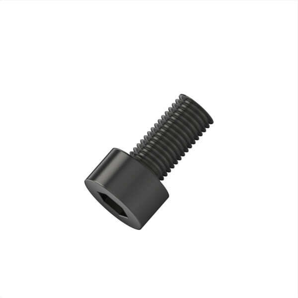 Hexagonal Socket Head Screw
