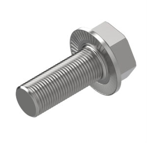 Hexagonal Head Flanged Screw, M10 X 25