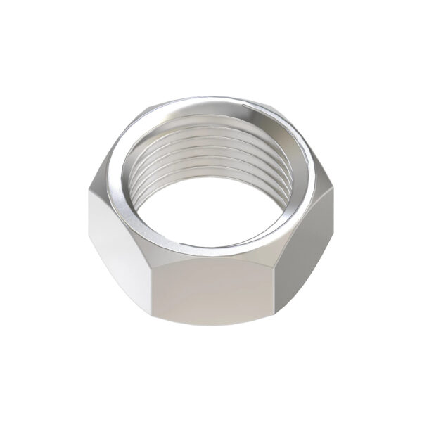 Hexagonal Nut, M20