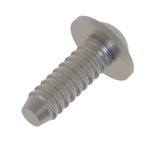 Self-Tapping Screw