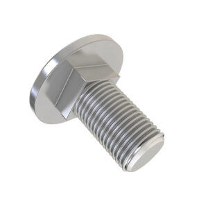 Round Head Square Neck Bolt, M10 X 25
