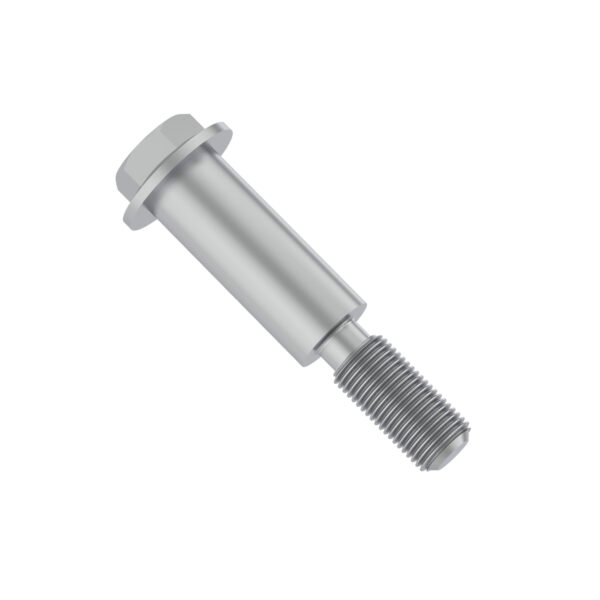 Hexagonal Head Flanged Screw, M8 X 55