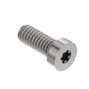 Self-Tapping Bolt