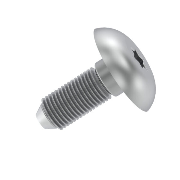 Screw, M6 X 20