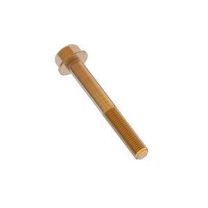 Hexagonal Head Flanged Screw, M6 X 50