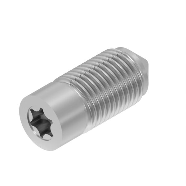 Set Screw, M12 X 25
