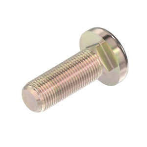 Round Head Square Neck Bolt, M16 X 50