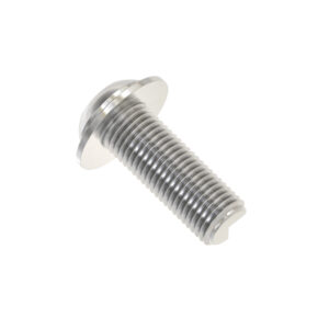 Screw with Washer, M8