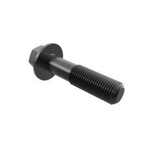 Hexagonal Head Flanged Screw, M10 X 45