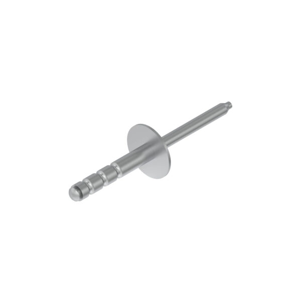 Flat Head Rivet