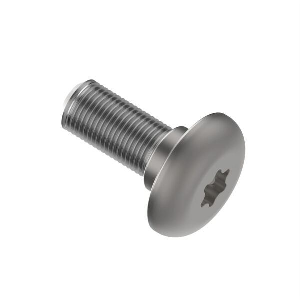 Torx Screw, M6 X 18